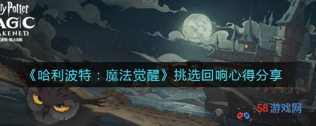 《哈利波特：魔法觉醒》挑选回响心得分享