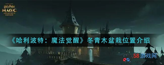 《哈利波特：魔法觉醒》冬青木盆栽位置介绍